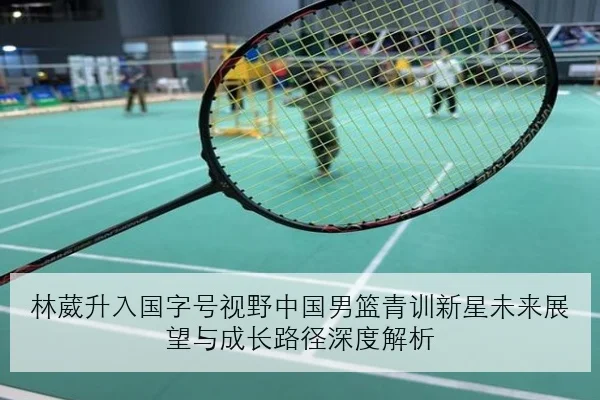 TES下路轮换后沟通效率提升赛区冲刺阶段信心明显回暖 - N8sportsofficial